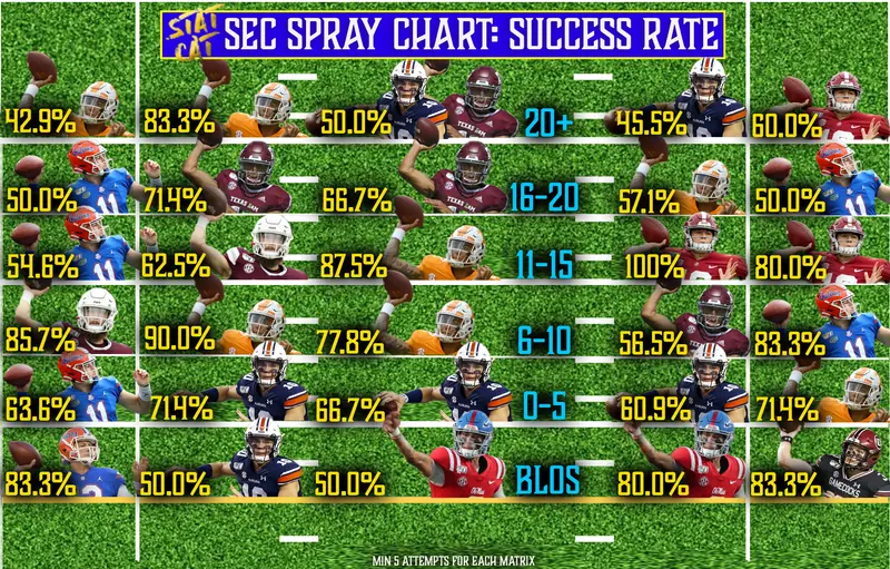 2020 Returner Spray Chart: Pass Success Rate